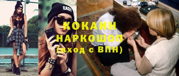 винт Елизово